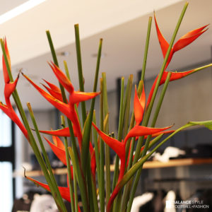 バランススタイル名古屋｜店内が南国風に！真っ赤な色をしたお花に変わりました！