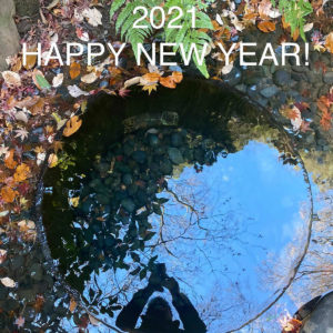 【謹賀新年】明けましておめでとうございます。2021年もよろしくお願い致します！